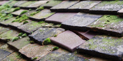 Ysgubor Y Coed roof repair costs